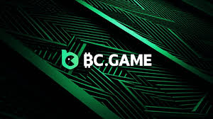 Understanding KYC in BC Game USA Importance and Steps Understanding KYC in BC Game USA Importance and Steps
